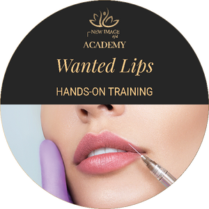 Wanted Lips Hands-On Training Upgrade