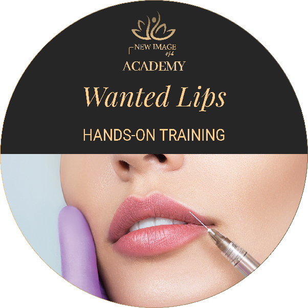 Wanted Lips Hands-On Training - Pick Your Date and Location